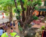 Bán quán cafe sân vườn 661m2 , Mặt Tiền Nguyễn Ảnh Thủ , TP HCM , Giảm 21 tỷ