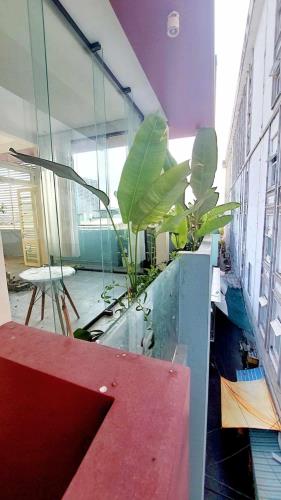 ♥ Nhà Góc kiệt Ô tô, sát MT Hùng Vương, 60m2, 4 tầng, 5 căn Hộ, nhỉnh 6 tỷ - 2