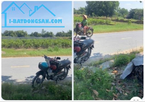 ⭐️Cần bán 191m2 đất chính chủ mặt tiền đường Lục Viên, Mỹ Hạnh Bắc, Đức Hoà, Long An, 3 tỷ - 1