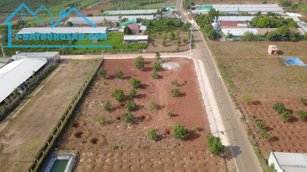 BÁN ĐẤT THỔ CƯ GẦN SÂN BAY LIÊN KHƯƠNG 150M2, CHỈ TỪ 450 TRIỆU - 3