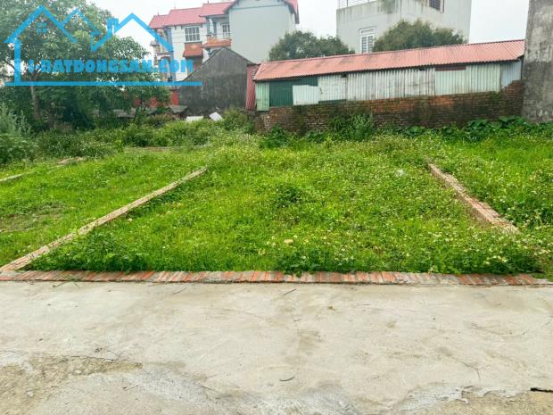 Đất đẹp Tổ 9, TT Quang Minh, Mê Linh. Gần KCN và trường CD Y Dược Tuệ Tĩnh - 2