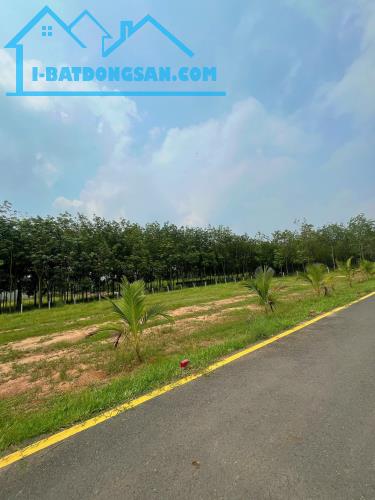 ĐẤT TÂN ĐỊNH BẾN CÁT GIÁ RẺ NGAY ĐẠI NAM