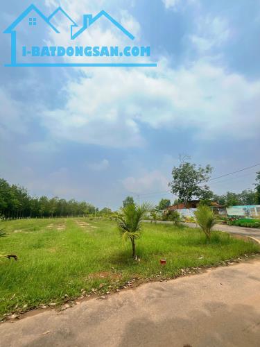 ĐẤT TÂN ĐỊNH BẾN CÁT GIÁ RẺ NGAY ĐẠI NAM - 2