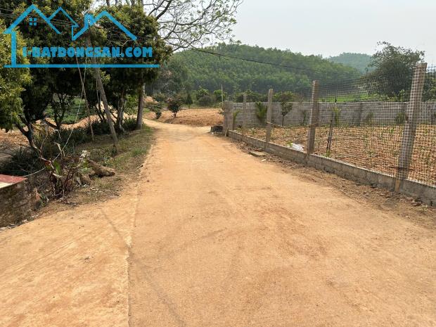 "Đất Phúc Xuân: Không gian sống xanh, kết nối dễ dàng, giá hấp dẫn!" - 5