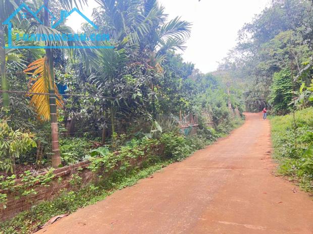 Bán 670M2 đất thành phố Hoà Bình tiện ích đầy đủ_81M đất ở nở hậu đẹp_8xx triệu - 1