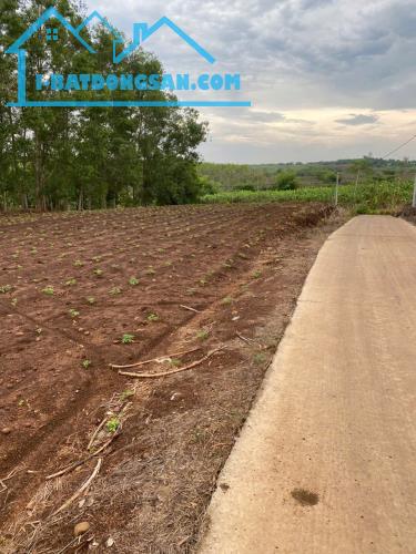 CHÍNH CHỦ CẦN BÁN  2 LÔ ĐẤT CÓ VỊ TRÍ ĐẸP GẦN SÂN BAY LONG THÀNH TẠI XÃ CẨM ĐƯỜNG - H.