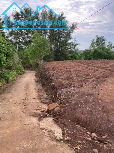 CHÍNH CHỦ CẦN BÁN  2 LÔ ĐẤT CÓ VỊ TRÍ ĐẸP GẦN SÂN BAY LONG THÀNH TẠI XÃ CẨM ĐƯỜNG - H. - 1