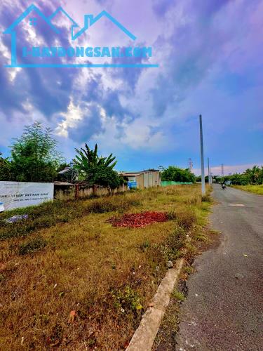 BÁN 3 LÔ ĐẤT NGỘP GẦN NGAY TRUNG TÂM BIÊN HÒA - 4
