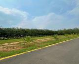 ĐẤT TÂN ĐỊNH BẾN CÁT GIÁ RẺ NGAY ĐẠI NAM
