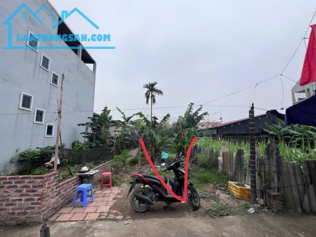 Bán 77m đất thôn Tráng Việt, xã Tráng Việt, Mê Linh. Đón dự án cầu Thượng Cát - 1