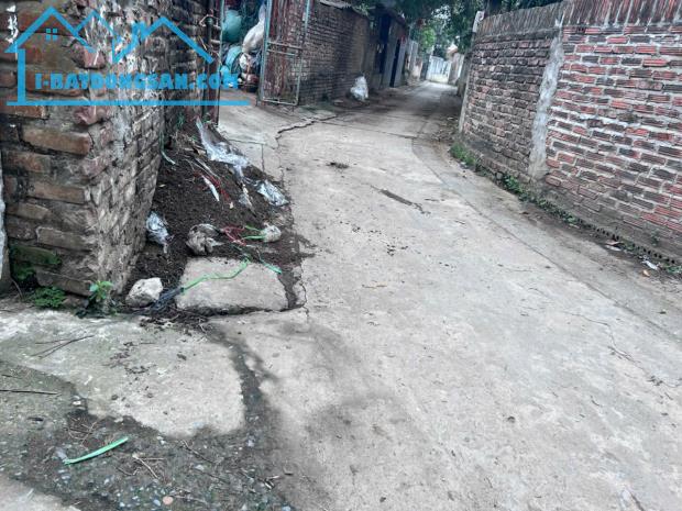Bán 77m đất thôn Tráng Việt, xã Tráng Việt, Mê Linh. Đón dự án cầu Thượng Cát - 2