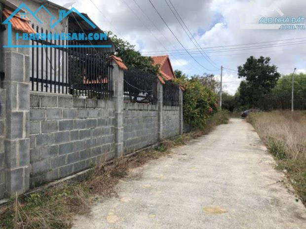 Thị trấn Phước Hải 🌈🌈🌈dt 1000m2-ngang 25x40 sẵn 400m2 thổ cư Đường bê tông xe hơi - 3