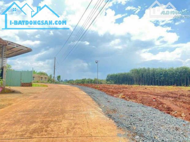 Chỉ 300 triệu !! Ngang 16 sâu 66. Đất view suối - 1