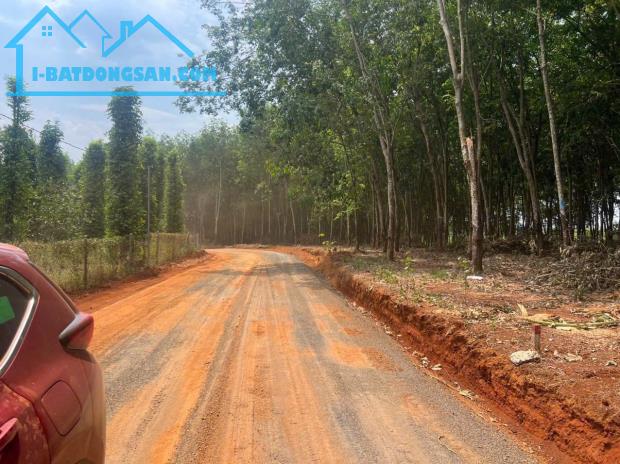 Chỉ 300 triệu !! Ngang 16 sâu 66. Đất view suối - 2