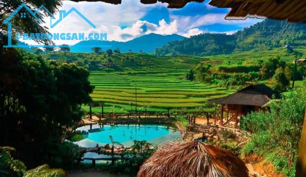 BÁN ĐẤT TRUNG TÂM NGHĨA LỘ - VỊ TRÍ ĐẸP, GIÁ TỐT, CƠ HỘI KHÔNG NÊN BỎ LỠ - 1