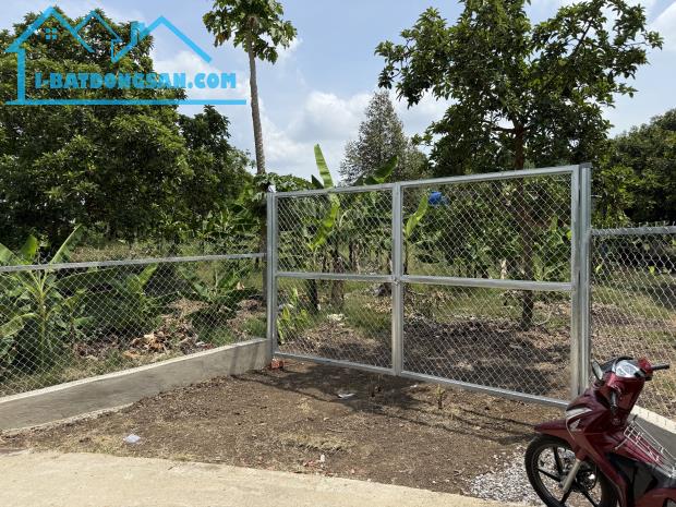 Chủ ngợp cần bán gấp lô đất vườn tại Định Quán giá rẻ chưa từng có - 5