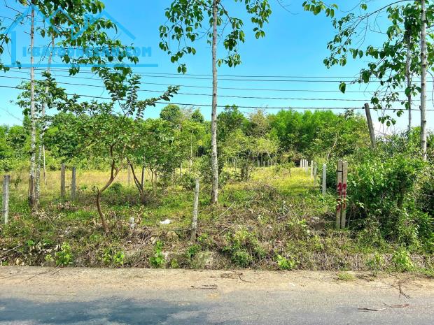 Bán đất mặt tiền Tỉnh Lộ 8B - Khánh Bình gần khu tái định cư - 1