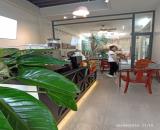 Cho Thuê Mặt Tiền Đường Huỳnh Văn Nghệ Bửu Long, DT430m2, KD Spa, coffee, văn phòng