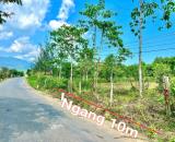 Bán đất mặt tiền Tỉnh Lộ 8B - Khánh Bình gần khu tái định cư