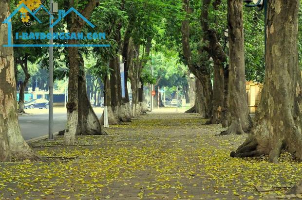 BÁN NHÀ PHỐ PHAN ĐÌNH PHÙNG, BA ĐÌNH, SIÊU HIẾM, ĐẦU TƯ, DT 40M2* 5 TẦNG* GIÁ 10.5 TỶ