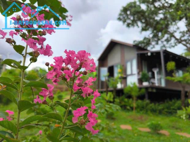 Căn Homestay 2 mặt tiền hẻm 19/5 phường EaTam - 50 x 20m - 6.7 tỷ - 1