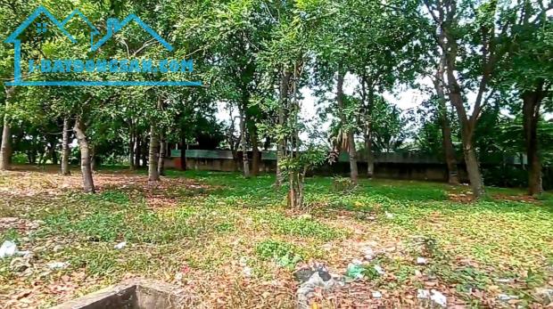 Bán lô đất 5010m2 KCN Vĩnh Lộc- Bình Hưng Hòa A - Bình Tân giá chỉ 30 tỷ - 4