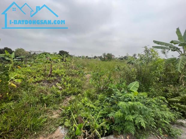 💥 BÁN LÔ ĐẤT 988M² – MINH ĐỨC, ĐỒ SƠN – GIÁ CHỈ 24 TỶ – TẶNG THÊM 1000M² ĐẤT 03 SIÊU LỢI - 1