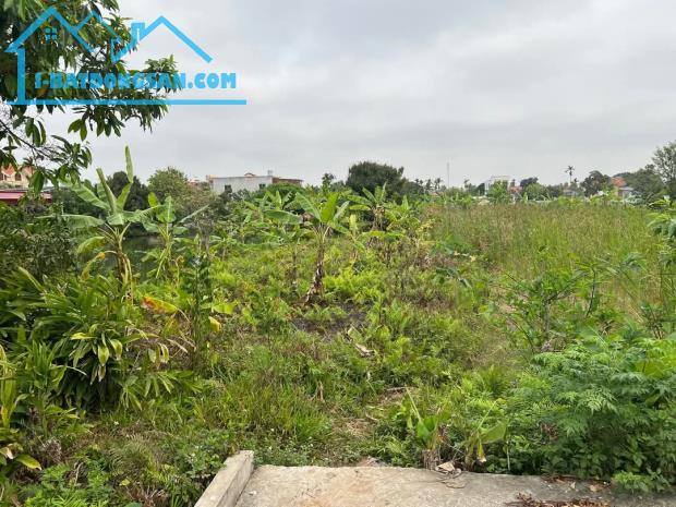 💥 BÁN LÔ ĐẤT 988M² – MINH ĐỨC, ĐỒ SƠN – GIÁ CHỈ 24 TỶ – TẶNG THÊM 1000M² ĐẤT 03 SIÊU LỢI - 2