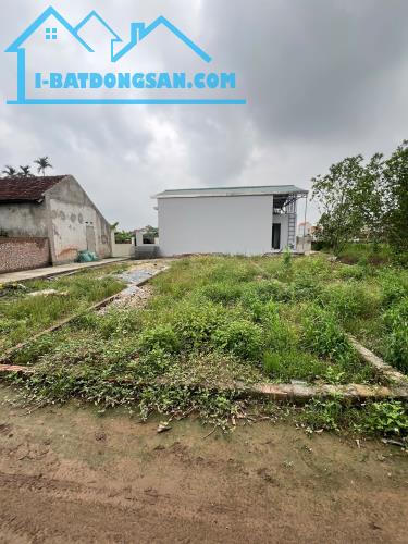 Bán đất Chương Dương - Thường Tín, 66m ô tô vào tận nơi chỉ 3x tr/m2 - 1