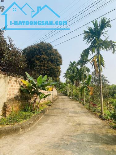 Bán Lô Đất Ô Tô Xã Hoàng Cương Thanh Ba Phú Thọ 400m x 10m chỉ 5,8 tỷ. - 1