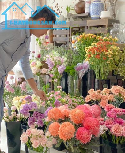 SANG NHƯỢNG TIỆM HOA tại 52 LÊ CHÂN, HẢI PHÒNG - 2