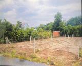 Đất Bình Dương chủ bể thanh lý 225m2( 100tc) giá 590tr