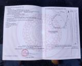 GẤp gấpBán đất Long Phước Long Thành Đồng Nai .nóng lắm rồi nóng nóng