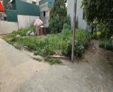 BÁN 42M2 ĐẤT LÔ GÓC LIỄU NGOẠI - KHÁNH HÀ - THƯỜNG TÍN
