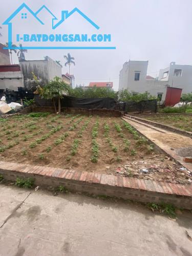 CHÍNH CHỦ BÁN 58M FULL THỔ CƯ,TT QUANG MINH,44TR/M ĐƯỜNG Ô TÔ,GẦN CHỢ,TRƯỜNG HỌC