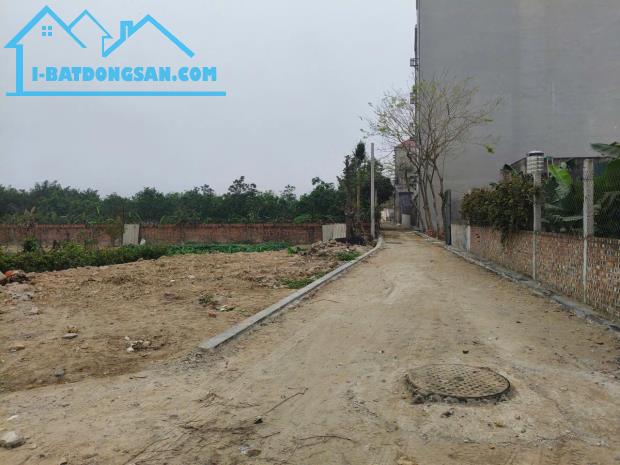 ĐẤT ĐẸP- GIÁ TỐT Cần bán nhanh lô đất vị trí đắc địa tại huyện Đông Anh, TP Hà Nội - 1