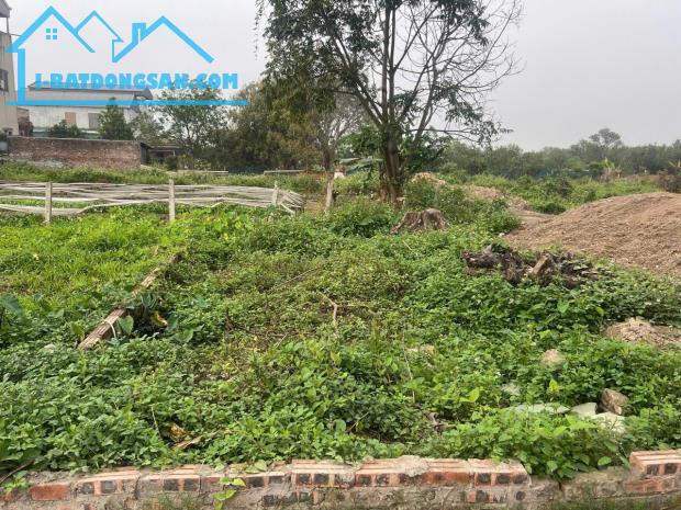 ĐẤT ĐẸP- GIÁ TỐT Cần bán nhanh lô đất vị trí đắc địa tại huyện Đông Anh, TP Hà Nội