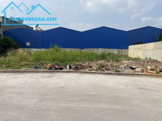 Bán Đất 100m2 HXH THẠNH XUÂN 47 - Q12, ĐÃ SỔ RIÊNG, CHỈ 35TR/M2. - 1
