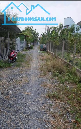 Chính chủ bán đất diện tích 196m2 cách quốc lộ 22 tầm 30m, xã Phước Hiệp, Củ Chi - 4