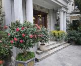 Bán biệt thự siêu sang 329m² – khu Hoa Lan Vinhomes Riverside, thang máy – sổ đỏ chính chủ