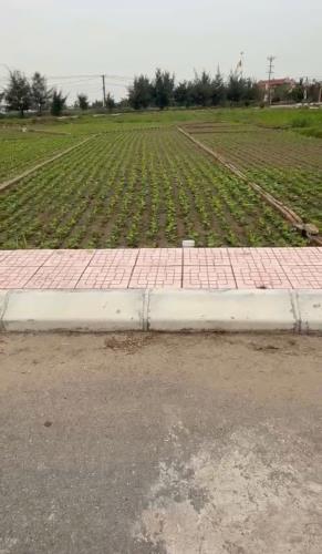Chủ cần tiền bán đất ven biển Quất Lâm