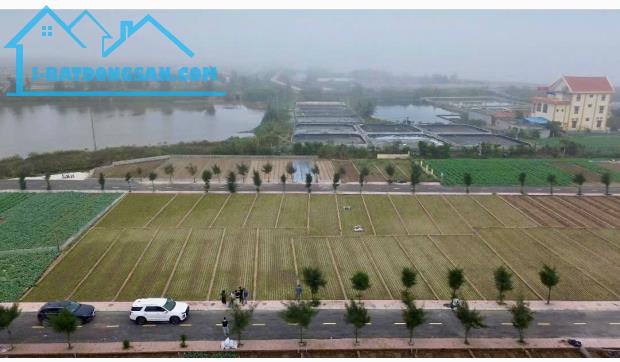 Chủ cần tiền bán đất ven biển Quất Lâm - 1