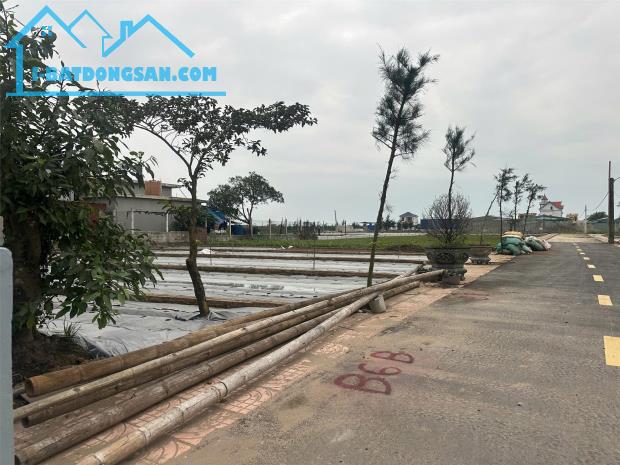 Chủ cần tiền bán đất ven biển Quất Lâm - 2