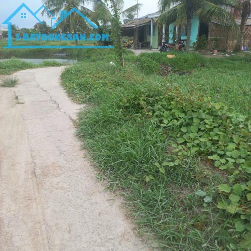 Sang nhượng lô đất mặt tiền đường Tân Phước đối diện quy hoạch dự án Vin Cần Giuộc 1000ha - 2
