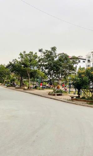 Bán lô đất vuông vắn cực đẹp TĐC Xi Măng, Sở Dầu, Hồng Bàng chỉ 2,83 tỷ rẻ nhất khu - 2