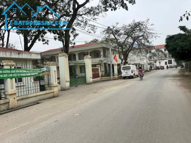 Chính chủ gửi bán lô đất góc full thổ cư, ô tô đỗ cửa tại Thôn Trình Xá, Xã Đỗ Động, Thanh - 1