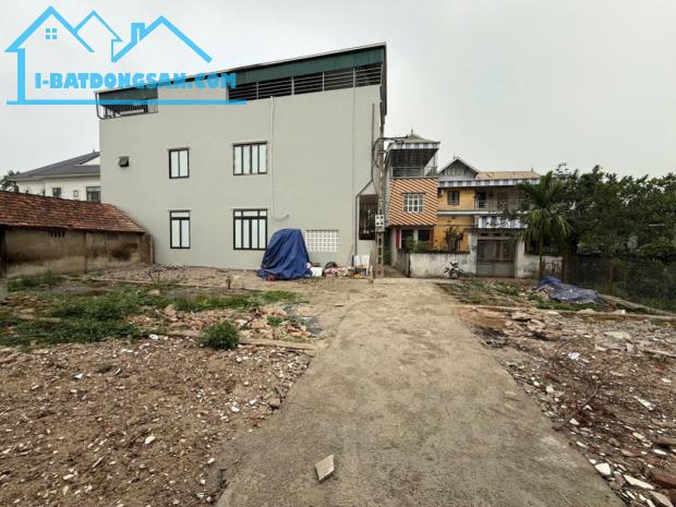Chính chủ gửi bán lô đất góc full thổ cư, ô tô đỗ cửa tại Thôn Trình Xá, Xã Đỗ Động, Thanh - 2