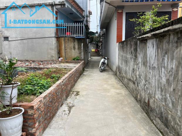 Chính chủ gửi bán lô đất góc full thổ cư, ô tô đỗ cửa tại Thôn Trình Xá, Xã Đỗ Động, Thanh - 3