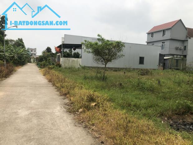 ĐẤT RỘNG HƯƠNG VĂN: Xây nhà kết hợp làm vườn
