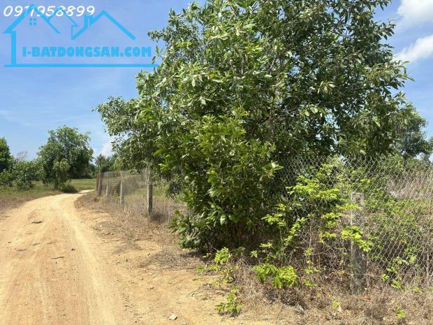 Bán 519m2 đất thổ cư Tân Tiến, thị xã LaGi gần Biển giá đầu tư - 3